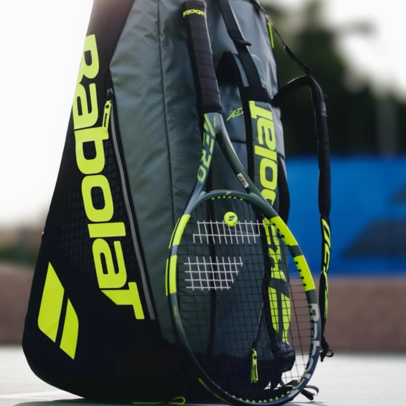 Master the Court Today